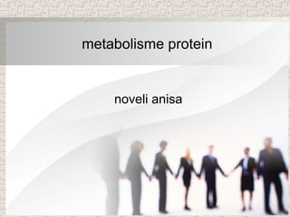 metabolisme protein
noveli anisa
 