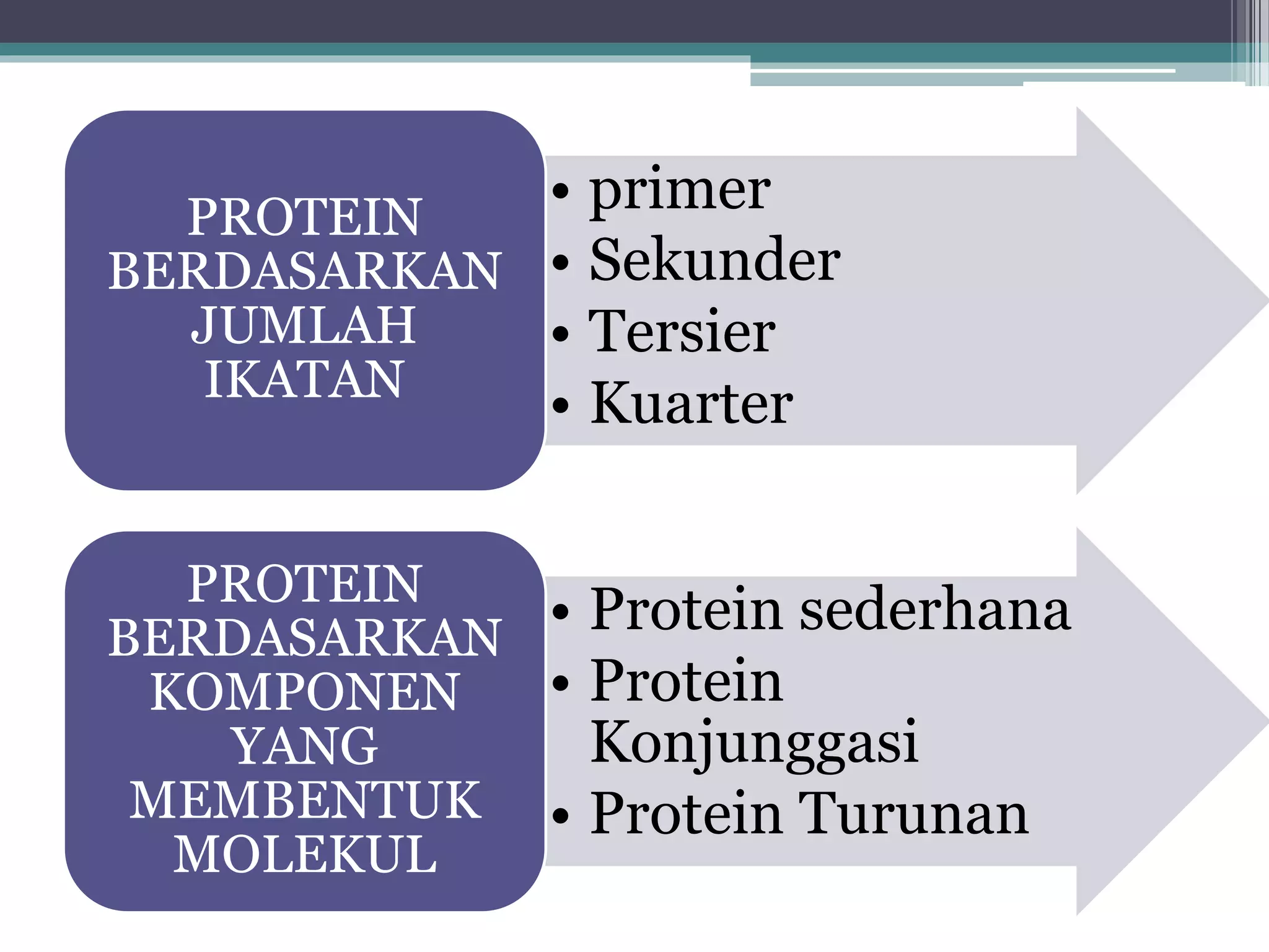 Metabolisme protein (5) | PPT