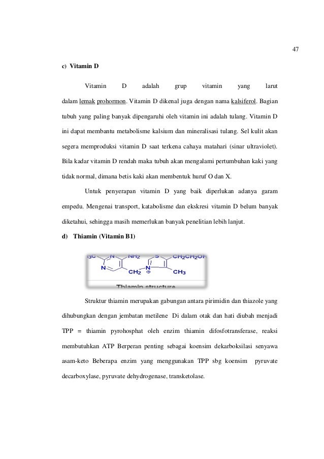 Metabolisme Protein Karbohidrat Lipid Vitamin Dan Mineral