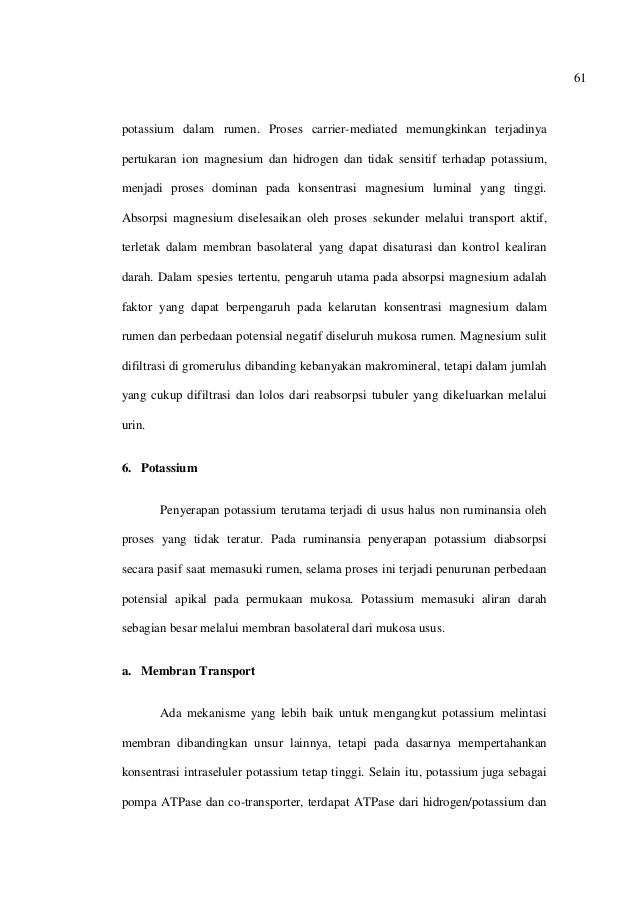 Metabolisme Protein Karbohidrat Lipid Vitamin Dan Mineral