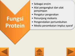 Fungsi
Protein
• Sebagai enzim
• Alat pengangkut dan alat
penyimpan
• Pengatur pergerakan
• Penunjang mekanis
• Pengendalian pertumbuhan
• Media perambatan implus syaraf
 
