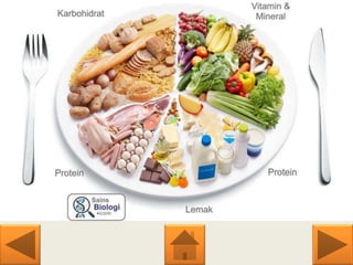 Metabolisme,protein,lemak.pdf