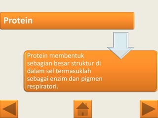 Protein
Protein membentuk
sebagian besar struktur di
dalam sel termasuklah
sebagai enzim dan pigmen
respiratori.
 