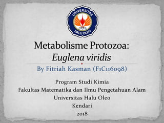 By Fitriah Kasman (F1C116098)
Program Studi Kimia
Fakultas Matematika dan Ilmu Pengetahuan Alam
Universitas Halu Oleo
Kendari
2018
 