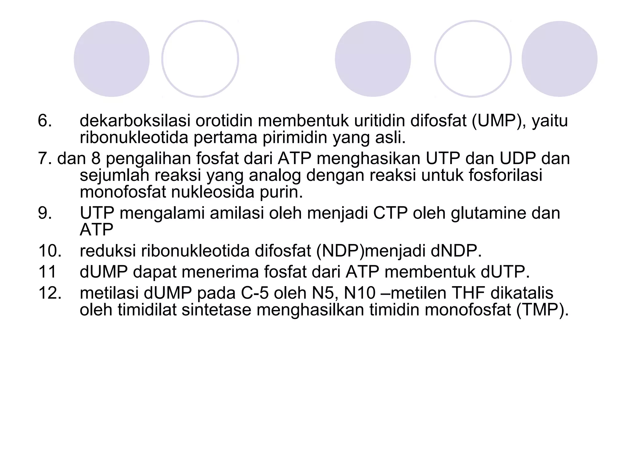 6. dekarboksilasi orotidin membentuk uritidin difosfat (UMP), yaitu
ribonukleotida pertama pirimidin yang asli.
7. dan 8 pengalihan fosfat dari ATP menghasikan UTP dan UDP dan
sejumlah reaksi yang analog dengan reaksi untuk fosforilasi
monofosfat nukleosida purin.
9. UTP mengalami amilasi oleh menjadi CTP oleh glutamine dan
ATP
10. reduksi ribonukleotida difosfat (NDP)menjadi dNDP.
11 dUMP dapat menerima fosfat dari ATP membentuk dUTP.
12. metilasi dUMP pada C-5 oleh N5, N10 –metilen THF dikatalis
oleh timidilat sintetase menghasilkan timidin monofosfat (TMP).
 