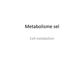 Metabolisme sel
Cell metabolism
 