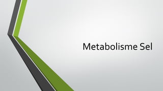 Metabolisme Sel
 