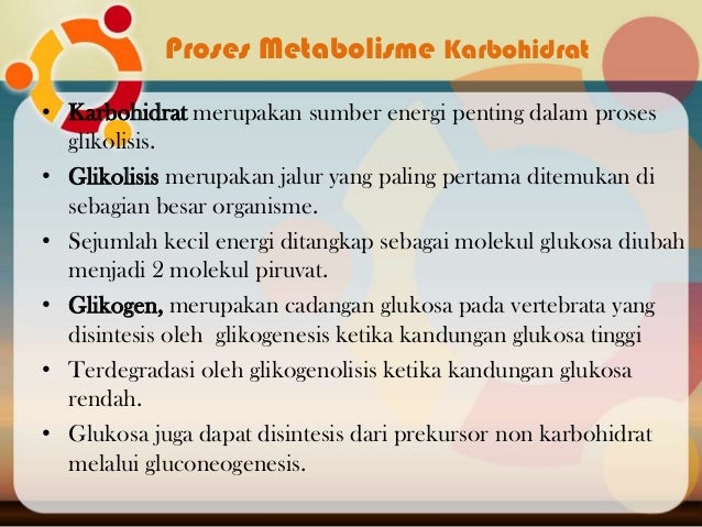 Metabolisme sistem pencernaan makanan