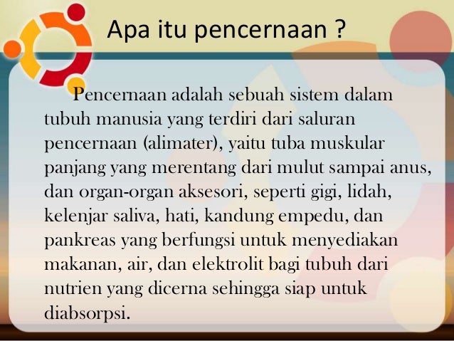 Metabolisme Sistem Pencernaan Makanan
