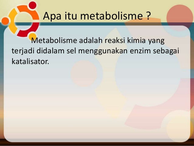 Metabolisme Sistem Pencernaan Makanan