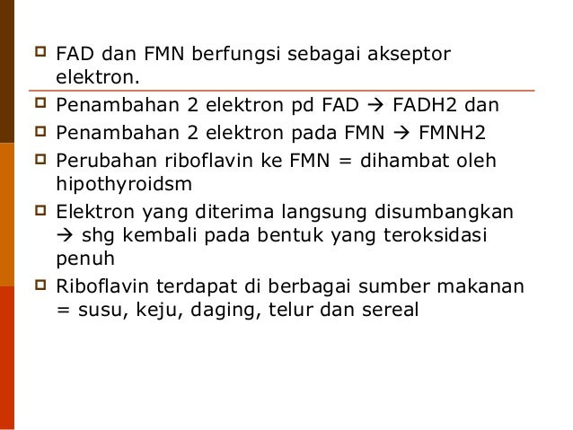 Metabolisme Vitamin Dan Mineral Larut Air