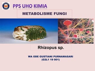 WA ODE GUSTIANI PURNAMASARI
(G2L1 19 001)
METABOLISME FUNGI
Rhizopus sp.
 