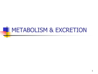METABOLISM & EXCRETION
1
 