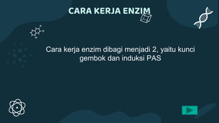 CARA KERJA ENZIM
Cara kerja enzim dibagi menjadi 2, yaitu kunci
gembok dan induksi PAS
 