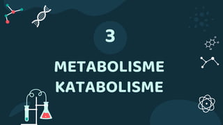 METABOLISME
KATABOLISME
3
 