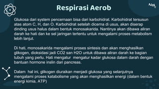 Respirasi Aerob
Glukosa dari system pencernaan bisa dari karbohidrat. Karbohidrat tersusun
atas atom C, H, dan O. Karbohidrat setelah dicerna di usus, akan diserap
dinding usus halus dalam bentuk monosakarida. Nantinya akan dibawa aliran
darah ke hati dan ke sel jaringan tertentu untuk mengalami proses metabolism
lebih lanjut.
Di hati, monosakarida mengalami proses sintesis dan akan menghasilkan
glikogen, dioksidasi jadi CO2 san H2O untuk dibawa aliran darah ke bagian
tubuh yang perlu. Hati mengatur mengatur kadar glukosa dalam darah dengan
bantuan hormone inslin dari pancreas.
Dalam hal ini, glikogen diuraikan menjadi glukosa yang selanjutnya
mengalami proses katabolisme yang akan menghasilkan energi (dalam bentuk
energi kimia, ATP)
 