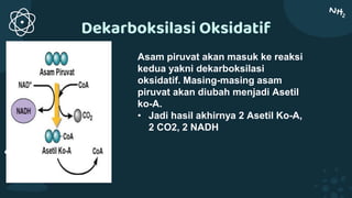 Dekarboksilasi Oksidatif
Asam piruvat akan masuk ke reaksi
kedua yakni dekarboksilasi
oksidatif. Masing-masing asam
piruvat akan diubah menjadi Asetil
ko-A.
• Jadi hasil akhirnya 2 Asetil Ko-A,
2 CO2, 2 NADH
 