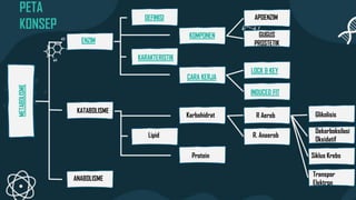 METABOLISME
ENZIM
KATABOLISME
ANABOLISME
DEFINISI
KOMPONEN
KARAKTERISTIK
CARA KERJA
APOENZIM
GUGUS
PROSTETIK
LOCK & KEY
INDUCED FIT
Karbohidrat
PETA
KONSEP
Lipid
Protein
R Aerob
R. Anaerob
Glikolisis
Dekarboksilasi
Oksidatif
Siklus Krebs
Transpor
Elektron
 