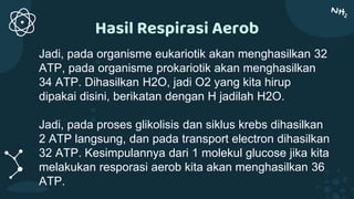 Hasil Respirasi Aerob
Jadi, pada organisme eukariotik akan menghasilkan 32
ATP, pada organisme prokariotik akan menghasilkan
34 ATP. Dihasilkan H2O, jadi O2 yang kita hirup
dipakai disini, berikatan dengan H jadilah H2O.
Jadi, pada proses glikolisis dan siklus krebs dihasilkan
2 ATP langsung, dan pada transport electron dihasilkan
32 ATP. Kesimpulannya dari 1 molekul glucose jika kita
melakukan resporasi aerob kita akan menghasilkan 36
ATP.
 