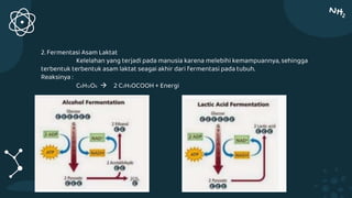 2. Fermentasi Asam Laktat
Kelelahan yang terjadi pada manusia karena melebihi kemampuannya, sehingga
terbentuk terbentuk asam laktat seagai akhir dari fermentasi pada tubuh.
Reaksinya :
C6H12O6  2 C2H5OCOOH + Energi
 