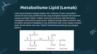 Metabolisme Lipid (Lemak)
Lipid yang terdapat sebagai bagian dari makanan hewan merupakan
campuran lipid yang sederhana dan yang kompleks berasal dari tanaman
maupun jaringan hewan. Dalam mulut dan lambung, lipid tadi belum
mengalami pemecahan yang berarti. Setelah berada dalam intenstin, lipid
kompleks terutama triasilgliserol-nya dihidrolisis oleh enzim lipase menjadi
asam lemak bebas dan sisa. Reaksi hidrolisisnya berlangsung sebagai
berikut :
 