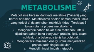 METABOLISME
Metabolisme berasal dari kata metabole (Yunani) yang
berarti berubah. Metabolisme adalah semua reaksi kimia
yang terjadi di dalam tubuh makhluk hidup. Terdapat 3
tujuan utama proses metabolisme
1. Mengonversi bahan bakar atau makanan unttuk
dijadikan bahan baku penyusun protein, lipid, asam
nukleat, dna beberapa jenis karbohidrat.
2. Mengonversi makanan energi untuk menjalankan
proses pada tingkat seluler
3. Mengeliminasi limbah metabolis
 
