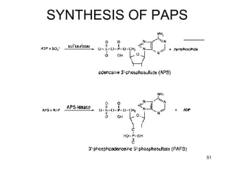 Metabolism final | PPT