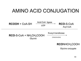 Metabolism final | PPT
