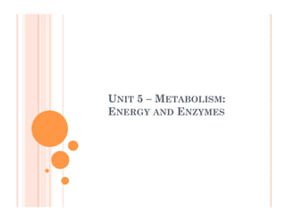 Metabolism Presentation | PDF