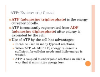ATP: ENERGY FOR CELLS
! ATP (adenosine triphosphate) is the energy
currency of cells.
! ATP is constantly regenerated from ADP
(adenosine diphosphate) after energy is
expended by the cell.
! Use of ATP by the cell has advantages:
!  It can be used in many types of reactions.
!  When ATP --> ADP + P, energy released is
sufficient for cellular needs and little energy is
wasted.
!  ATP is coupled to endergonic reactions in such a
way that it minimizes energy loss.
 