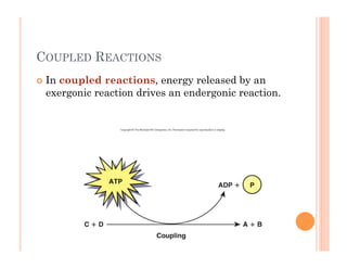 6-12
COUPLED REACTIONS
!  In coupled reactions, energy released by an
exergonic reaction drives an endergonic reaction.
 