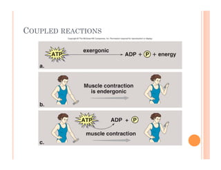 COUPLED REACTIONS
 
