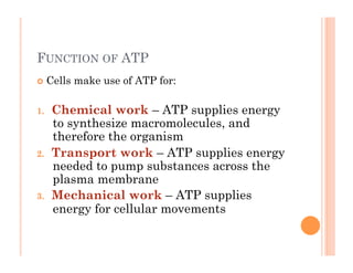 FUNCTION OF ATP
!  Cells make use of ATP for:
1.  Chemical work – ATP supplies energy
to synthesize macromolecules, and
therefore the organism
2.  Transport work – ATP supplies energy
needed to pump substances across the
plasma membrane
3.  Mechanical work – ATP supplies
energy for cellular movements
 