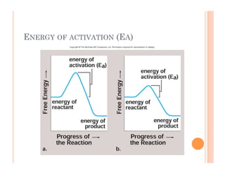 6-18
ENERGY OF ACTIVATION (EA)
 
