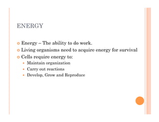 ENERGY
!  Energy – The ability to do work.
!  Living organisms need to acquire energy for survival
!  Cells require energy to:
!  Maintain organization
!  Carry out reactions
!  Develop, Grow and Reproduce
 