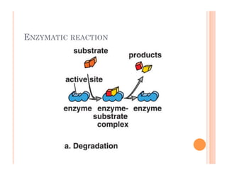 ENZYMATIC REACTION
 