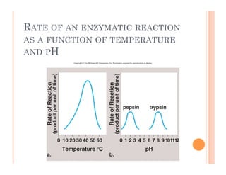 RATE OF AN ENZYMATIC REACTION
AS A FUNCTION OF TEMPERATURE
AND PH
 
