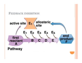 6-29
FEEDBACK INHIBITION
 