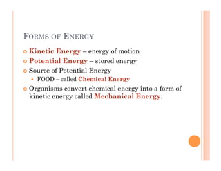 FORMS OF ENERGY
!  Kinetic Energy – energy of motion
!  Potential Energy – stored energy
!  Source of Potential Energy
!  FOOD – called Chemical Energy
!  Organisms convert chemical energy into a form of
kinetic energy called Mechanical Energy.
 
