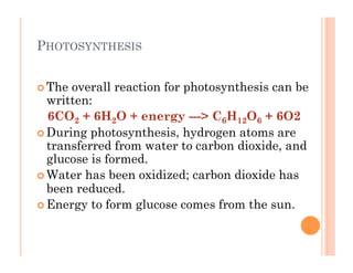 6-35
PHOTOSYNTHESIS
! The overall reaction for photosynthesis can be
written:
6CO2 + 6H2O + energy ---> C6H12O6 + 6O2
! During photosynthesis, hydrogen atoms are
transferred from water to carbon dioxide, and
glucose is formed.
! Water has been oxidized; carbon dioxide has
been reduced.
! Energy to form glucose comes from the sun.
 