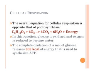 6-39
CELLULAR RESPIRATION
! The overall equation for cellular respiration is
opposite that of photosynthesis:
C6H12O6 + 6O2 --> 6CO2 + 6H2O + Energy
! In this reaction, glucose is oxidized and oxygen
is reduced to become water.
! The complete oxidation of a mol of glucose
releases 686 kcal of energy that is used to
synthesize ATP.
 