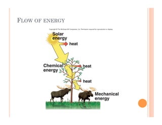 6-5
FLOW OF ENERGY
 
