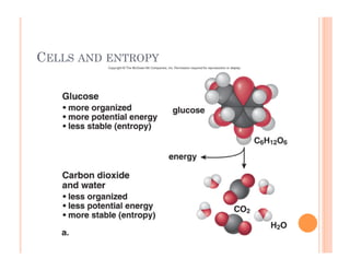 6-7
CELLS AND ENTROPY
 