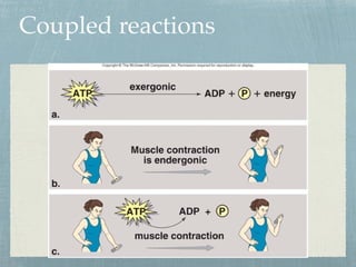 Coupled reactions
 