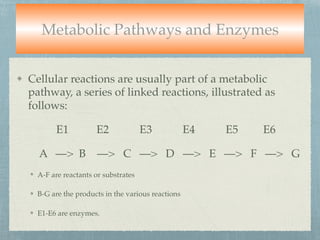 Metabolic Pathways and Enzymes
Cellular reactions are usually part of a metabolic
pathway, a series of linked reactions, illustrated as
follows:
E1 E2 E3 E4 E5 E6
A —> B —> C —> D —> E —> F —> G
A-F are reactants or substrates
B-G are the products in the various reactions
E1-E6 are enzymes.
 