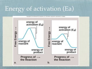 Energy of activation (Ea)
 