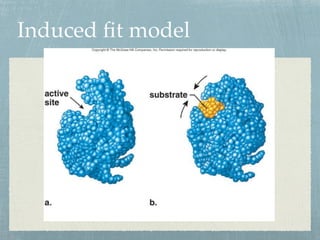 Induced ﬁt model
 