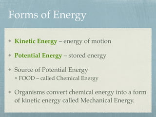 Forms of Energy
Kinetic Energy – energy of motion
Potential Energy – stored energy
Source of Potential Energy
FOOD – called Chemical Energy
Organisms convert chemical energy into a form
of kinetic energy called Mechanical Energy.
 