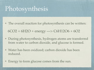 Photosynthesis
The overall reaction for photosynthesis can be written:
6CO2 + 6H2O + energy ---> C6H12O6 + 6O2
During photosynthesis, hydrogen atoms are transferred
from water to carbon dioxide, and glucose is formed.
Water has been oxidized; carbon dioxide has been
reduced.
Energy to form glucose comes from the sun.
 