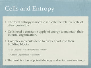 Cells and Entropy
The term entropy is used to indicate the relative state of
disorganization.
Cells need a constant supply of energy to maintain their
internal organization.
Complex molecules tend to break apart into their
building blocks.
Ex: Glucose —> Carbon Dioxide + Water
Greater Organization = less stable
The result is a loss of potential energy and an increase in entropy.
 